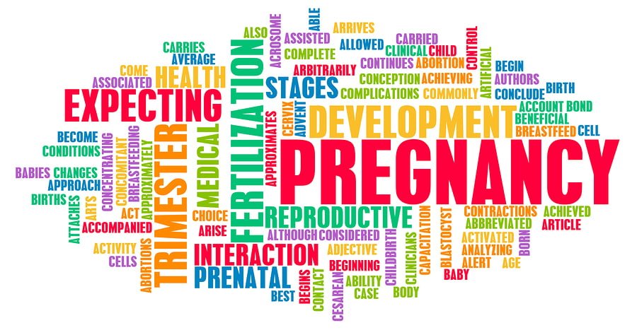Pregnancy Concept Preparation of an Expecting Parent