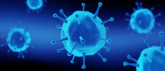 Nipah Virus