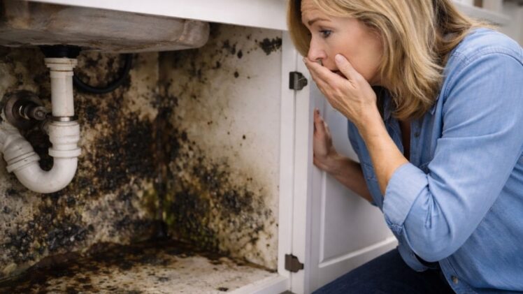 Woman finding mold under sink