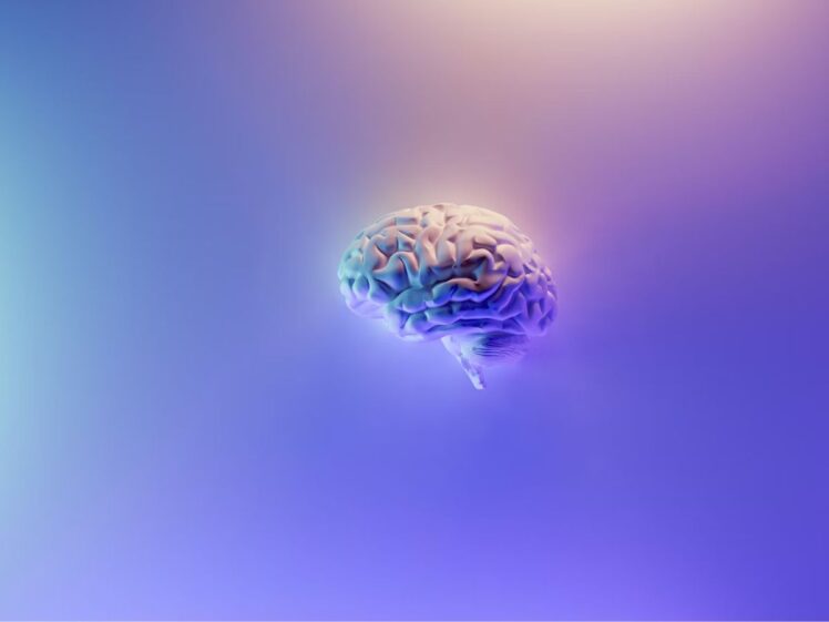 Huberman Lab Podcasts Unsplash