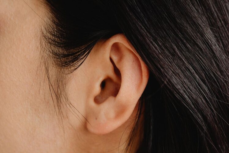 A close up of an ear.